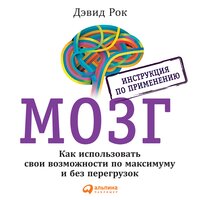 Дэвид Рок. «МОЗГ. Инструкция по применению: Как использовать свои возможности по максимуму и без перегрузок». Часть 28 - Артем Пахомов