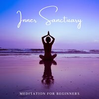 Serene Night - Meditation for Beginners