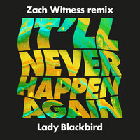 It'll Never Happen Again - Lady Blackbird & Zach Witness