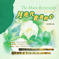 漫步人生路 - 杜聪