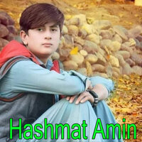 Shah Zargaray Toray Lamanay - Hashmat Amin