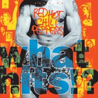 Taste The Pain - Red Hot Chili Peppers