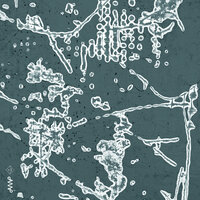 The Inch Worm - Jacob Roved & Sami Linna & George Kontrafouris