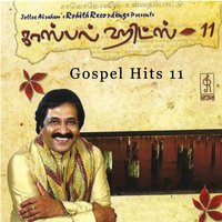 Anandhamai Naame - Jollee Abraham