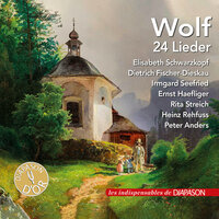 Goethe-Lieder: No. 6. Mignon II, "Nur wer die Sehnsucht kennt" (Etwas bewegt) - Irmgard Seefried & Erik Werba & Хуго Вольф