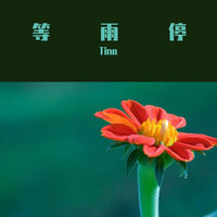 等雨停 - Tina