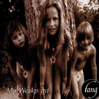 When The Wind Keeps Away Your... - fang