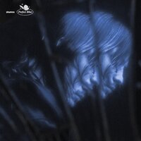 Introduction - Shumno