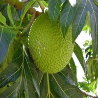 Bad Than We - Brother B