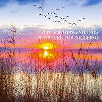 Chinese Zen Oasis - Zen Soothing Sounds of Nature