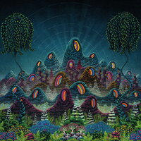 Brillo De Luna - Leo Almunia