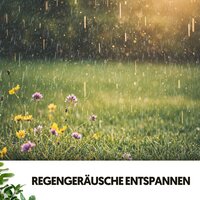 Ruhige Rhythmen des Regens - Dog Relaxation & The Rain Factory & Regengeräusche
