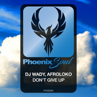 Don't Give Up - DJ Wady & Afroloko