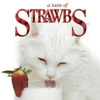 Another Day - Strawbs
