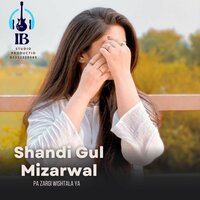 Pa Zargi Wishtala Ya - Shandi Gul Mizarwal