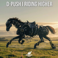 Riding Higher - D-Push