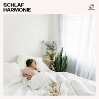 Fluss - Musik zum Einschlafen & Ruhige Musik als Einschlafhilfe & Schlafmusik & Musik zum Schlafen