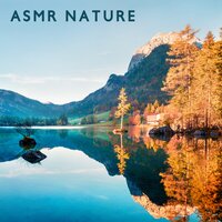 Calm Atmosphere - Meditation Music Masters