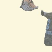 Mindinglosingmy - William Wallace & Sincere