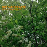 Fåglarna i Nam Dinh - Carl-Axel Dominique & John Ehde