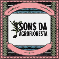 Colheita - SONS DA AGROFLORESTA & Luli Braga & Gabi Farias