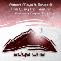 The Way I'm Feeling - Robert Maya & evda B