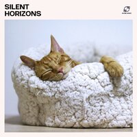 Floating Meditation - The Deep Sleep Music Academy & Deep Sleep Academy & Calm Sleep Zone & Sleep Music Collection