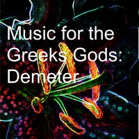 Recalcitrant Cupcakes - Navigator & Michele Forte