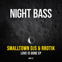 Love Is Gone - rrotik & Smalltown DJs