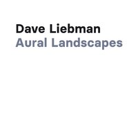 Aural Landscape 12 - David Liebman