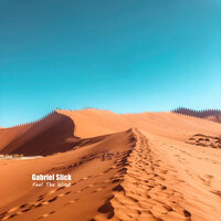 Feel The Wind - Gabriel Slick