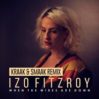 When the Wires Are Down - Izo FitzRoy & Kraak & Smaak