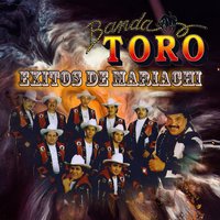 El Toro Zacatecano - Banda Toro