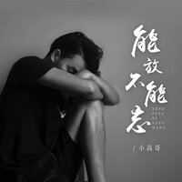 能放不能忘 - 小高哥