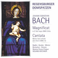Magnificat in E-Flat Major, BWV 243a: VI. Quia fecit mihi magna (Basso) - Peter Harvey & Musica Florea Prague & Roland Büchner & Johann Sebastian Bach