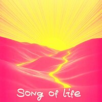 Song of life - dj Venera & Miami Party