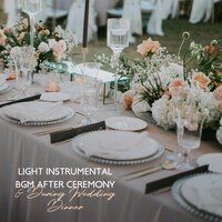 Romantic Wedding - Light Background Music Effect & Romantic Jazz Music Creator