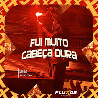 Fui Muito Cabeça Dura - MC BF & DJ YUZAK