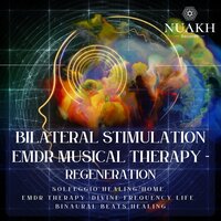 Journey of Bilateral Bliss - Solfeggio Healing Home & EMDR Therapy & Binaural Beats Healing & Bilateral Stimulation (US)