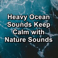 Wave Sounds The Best Water Sounds Help You and Your Baby Rest - NATURE & pure nature & Nature Sounds – Sons de la nature