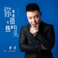 你是我捂不热的石头 - 倪红