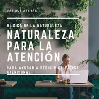 Música Relajante para Ayudar a Leer - Linda Beldad
