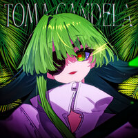 TOMA CANDELA - DJ Snk & Sanek187