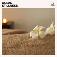 Soft Release - Spa Music Consort & Spa & Relaxation & Relaxing music & Spa Therapy Music