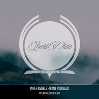 Want You Back - Inner Rebels & Vicent Ballester