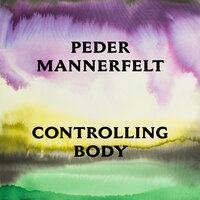 BZ Reaction - Peder Mannerfelt