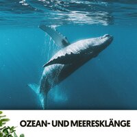 Flüsternde Blätter - Cat Music Therapy & Ocean Sounds FX & Entspannungsmusik