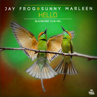 Hello - Jay Frog & Sunny Marleen