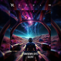 Silent - Unknown Joys