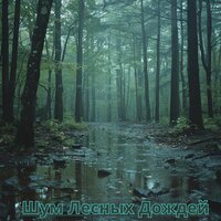 Нежные Ноты Воды - Супер расслабляющие звуки & Супер релакс